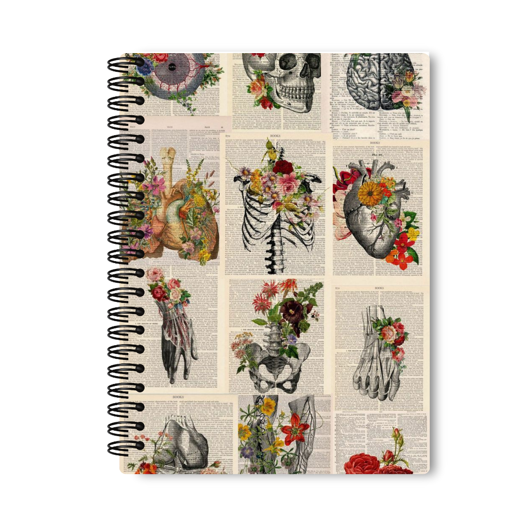 The Anatomy Notebook