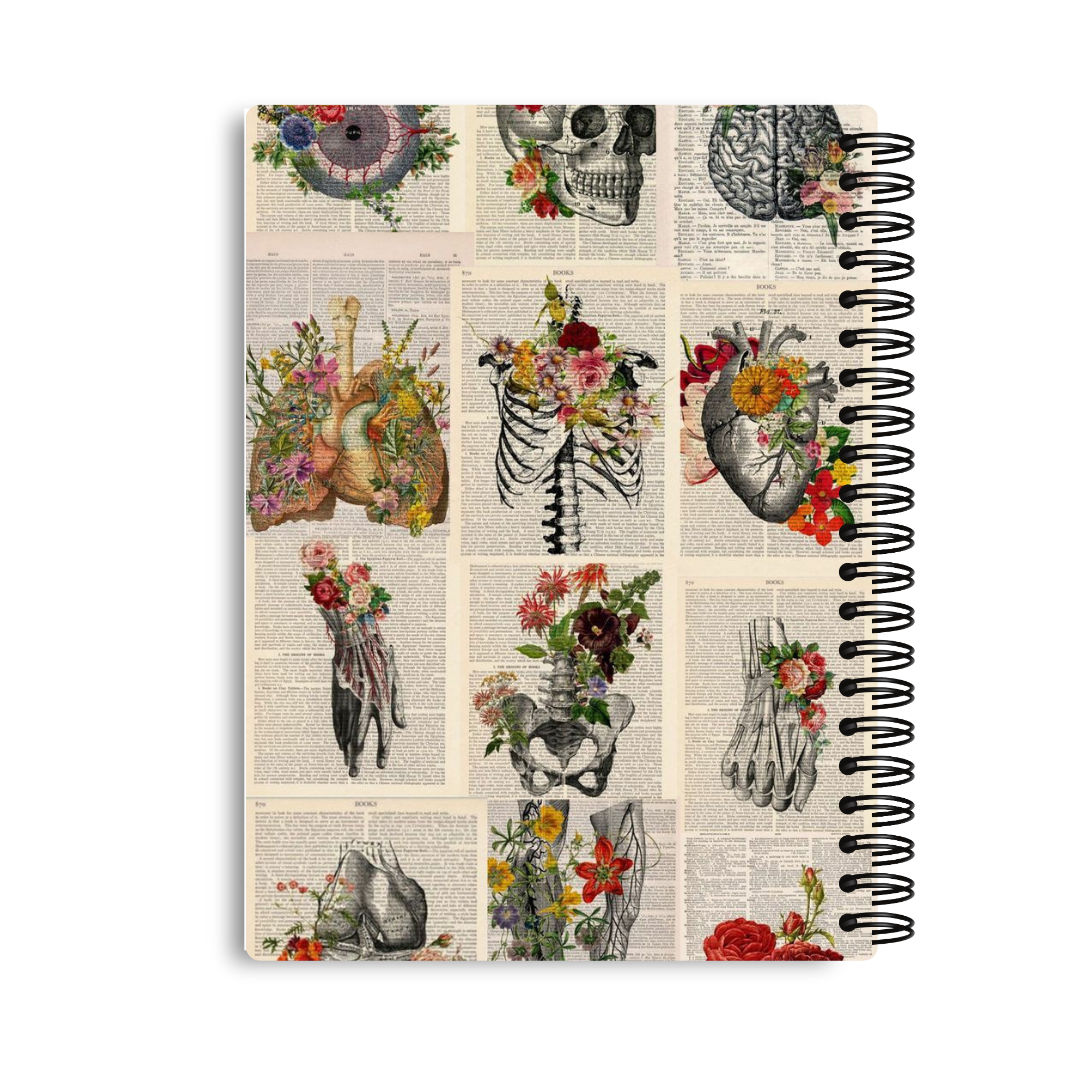 The Anatomy Notebook