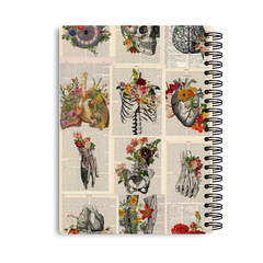 The Anatomy Notebook
